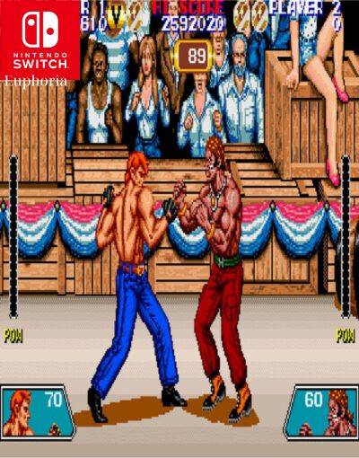 Arcade Archives VIOLENCE FIGHT